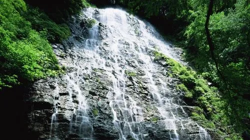 高端高效科技